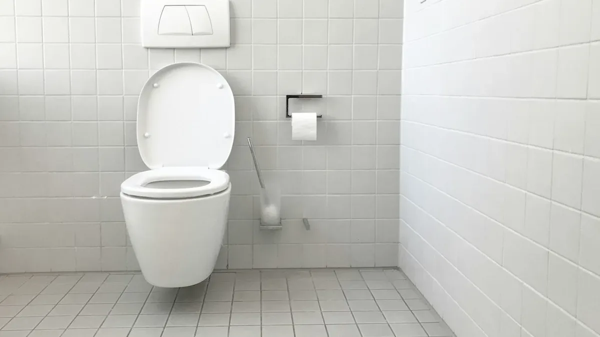 renovation wc avant apres — Rénovation wc avant après : définition, effets et limites