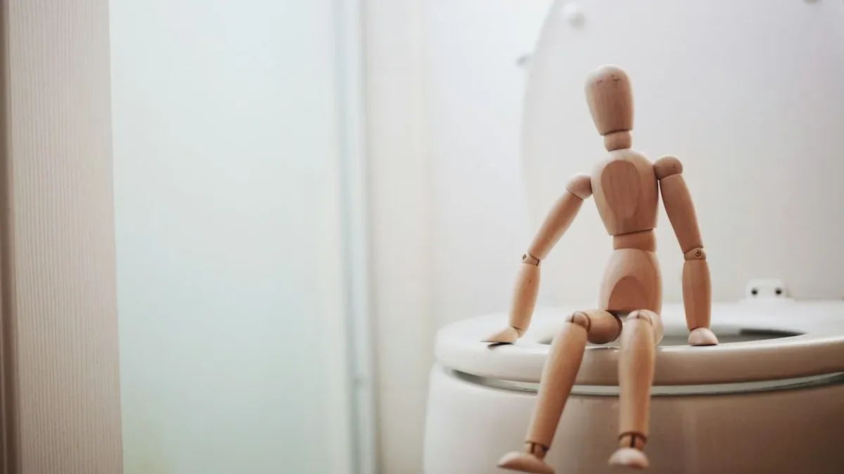 separation salle de bain toilette — Séparation salle de bain toilette : ce qu’il faut savoir