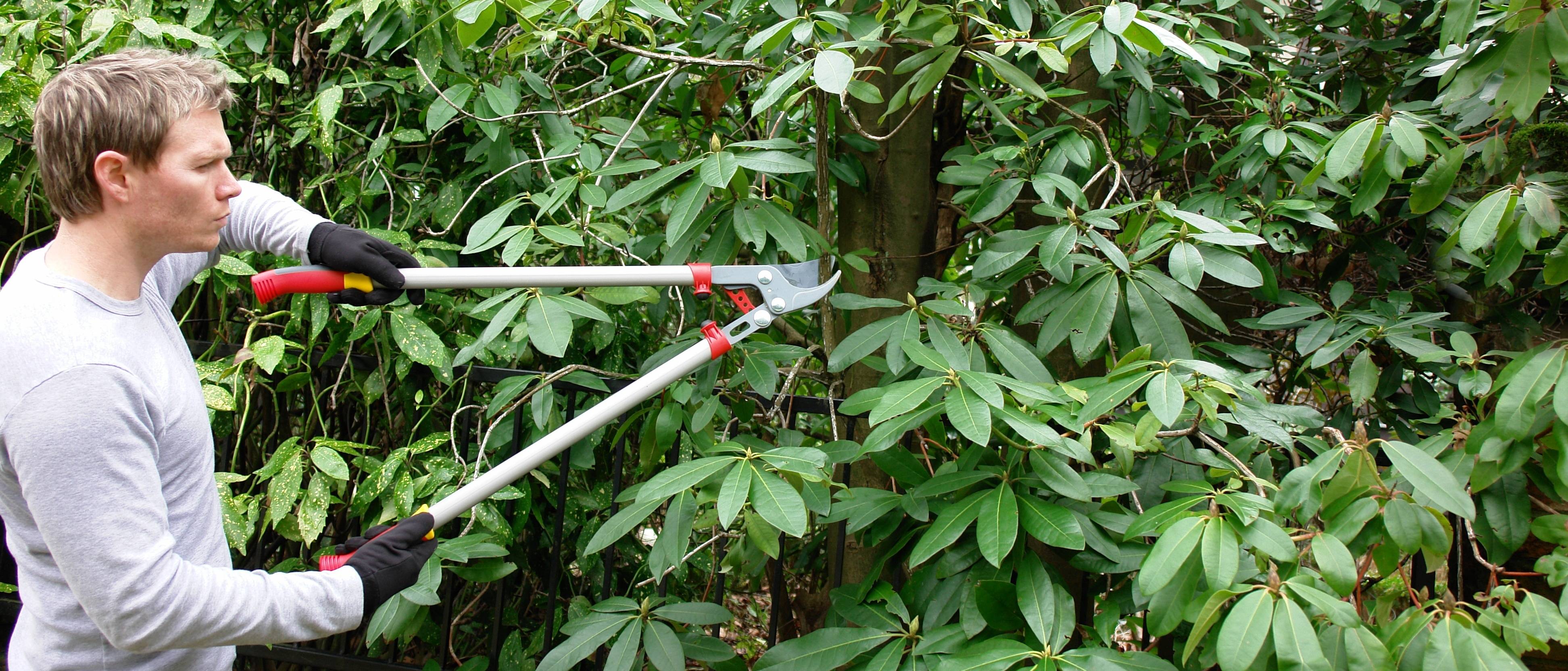 Que faire au jardin en septembre ?