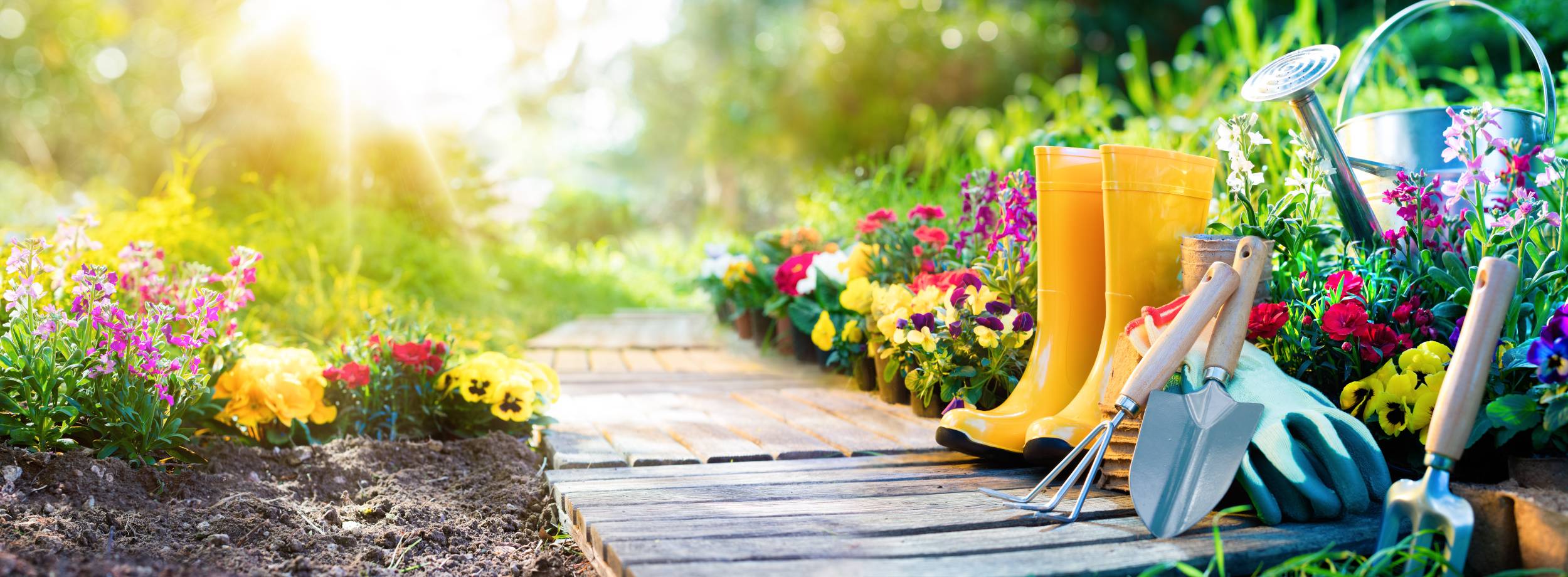 Que faire au jardin en mars ?